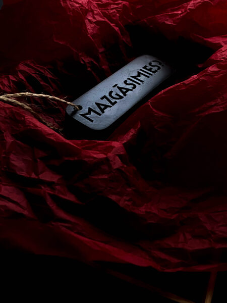 MAZGĀSIMIES? - ogļu ziepes ķermenim un sejai