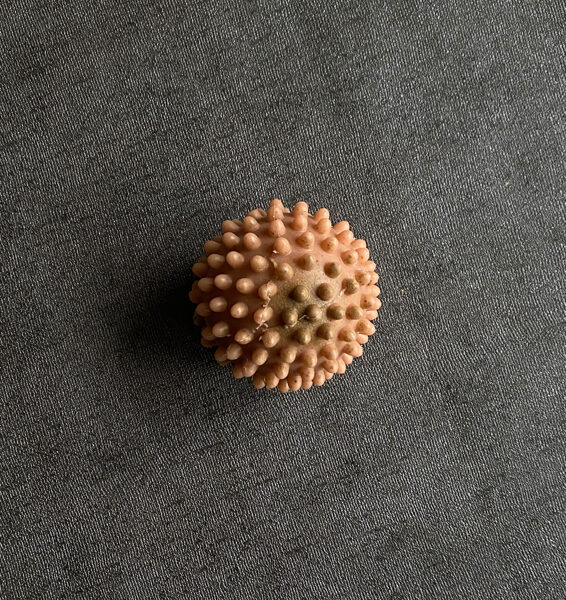 Ezis - rozā mālu ziepes ķermenim un sejai